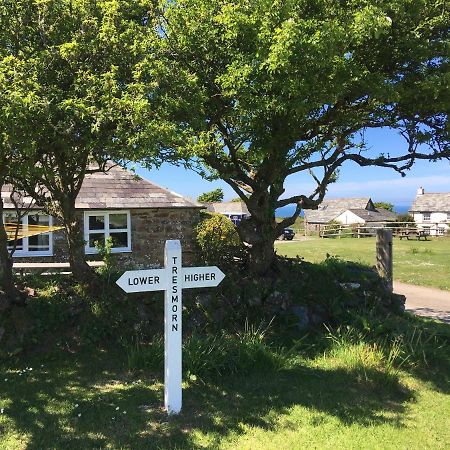 Bed and Breakfast Higher Tresmorn Farm Crackington Haven Экстерьер фото