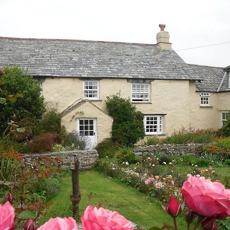 Bed and Breakfast Higher Tresmorn Farm Crackington Haven Экстерьер фото
