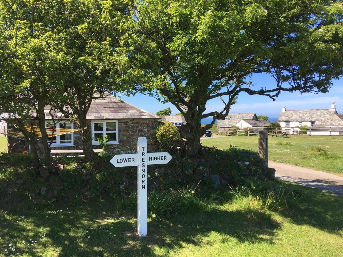 Bed and Breakfast Higher Tresmorn Farm Crackington Haven Экстерьер фото