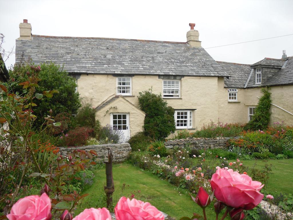 Bed and Breakfast Higher Tresmorn Farm Crackington Haven Экстерьер фото