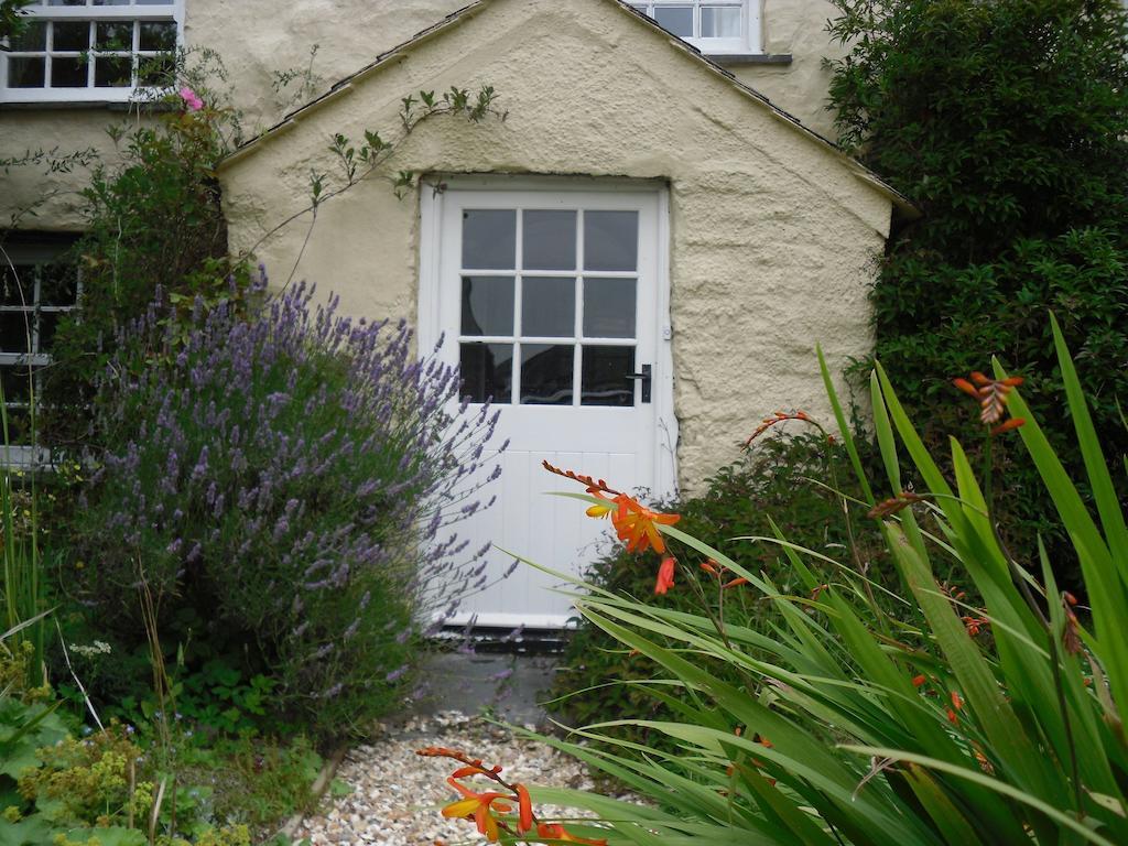 Bed and Breakfast Higher Tresmorn Farm Crackington Haven Экстерьер фото