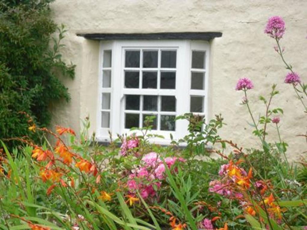 Bed and Breakfast Higher Tresmorn Farm Crackington Haven Экстерьер фото